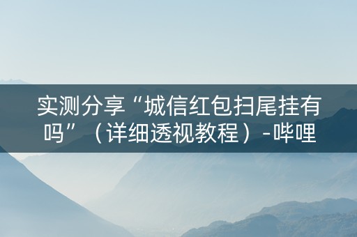 实测分享“城信红包扫尾挂有吗”（详细透视教程）-哔哩哔哩