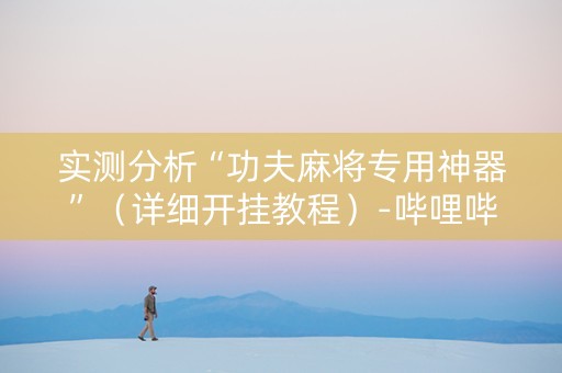 实测分析“功夫麻将专用神器”（详细开挂教程）-哔哩哔哩