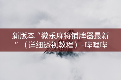 新版本“微乐麻将铺牌器最新”（详细透视教程）-哔哩哔哩