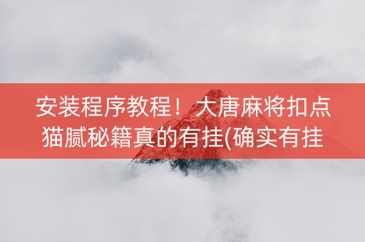 安装程序教程！大唐麻将扣点猫腻秘籍真的有挂(确实有挂)
