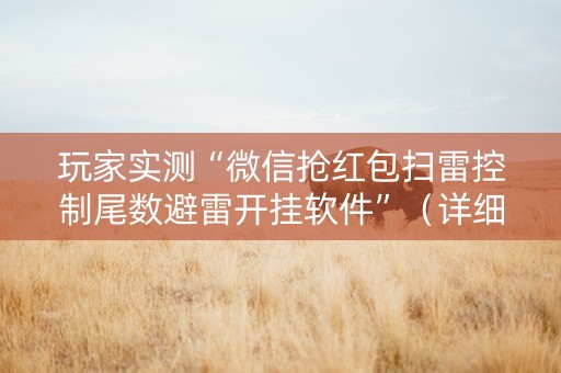 玩家实测“微信抢红包扫雷控制尾数避雷开挂软件”（详细透视教程）-哔哩哔哩