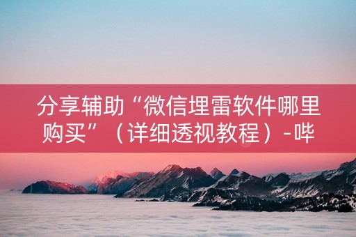 分享辅助“微信埋雷软件哪里购买”（详细透视教程）-哔哩哔哩