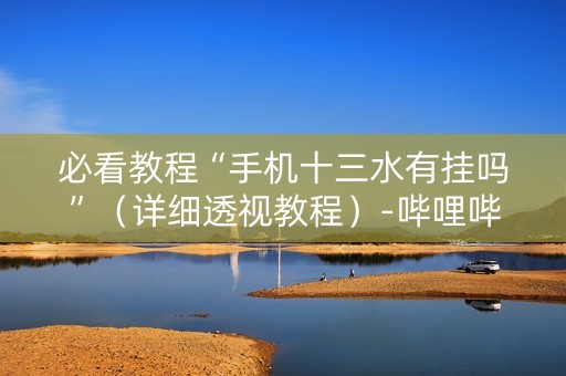 必看教程“手机十三水有挂吗”（详细透视教程）-哔哩哔哩