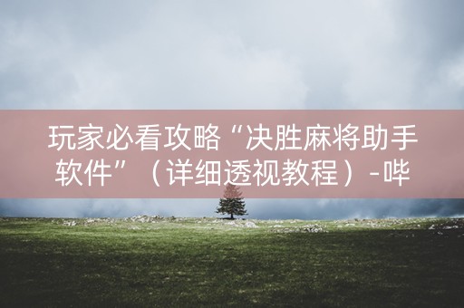 玩家必看攻略“决胜麻将助手软件”（详细透视教程）-哔哩哔哩
