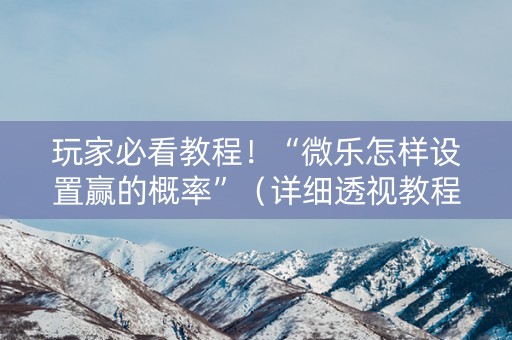 玩家必看教程！“微乐怎样设置赢的概率”（详细透视教程）-哔哩哔哩