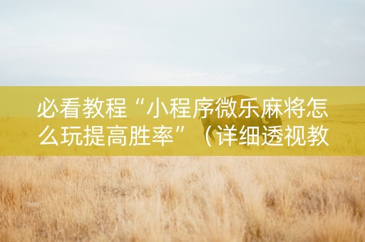 必看教程“小程序微乐麻将怎么玩提高胜率”（详细透视教程）-哔哩哔哩