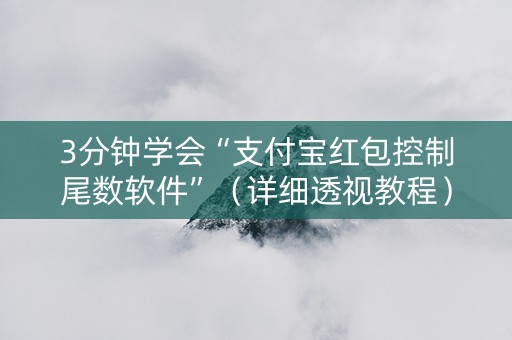 3分钟学会“支付宝红包控制尾数软件”（详细透视教程）-哔哩哔哩