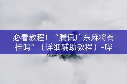 必看教程！“腾讯广东麻将有挂吗”（详细辅助教程）-哔哩哔哩