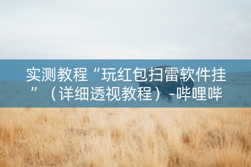 实测教程“玩红包扫雷软件挂”（详细透视教程）-哔哩哔哩