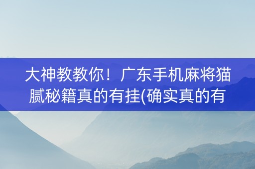 大神教教你！广东手机麻将猫腻秘籍真的有挂(确实真的有挂)