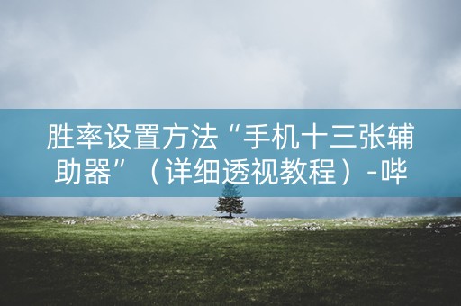 胜率设置方法“手机十三张辅助器”（详细透视教程）-哔哩哔哩