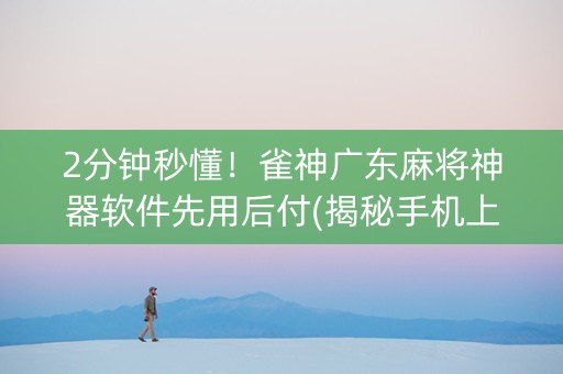2分钟秒懂！雀神广东麻将神器软件先用后付(揭秘手机上确实有猫腻)