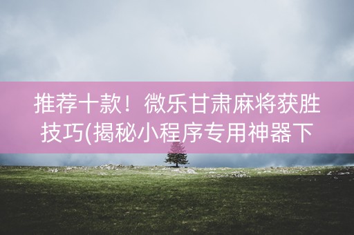 推荐十款！微乐甘肃麻将获胜技巧(揭秘小程序专用神器下载)