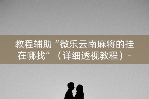 教程辅助“微乐云南麻将的挂在哪找”（详细透视教程）-哔哩哔哩