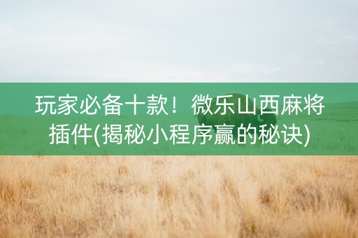 玩家必备十款！微乐山西麻将插件(揭秘小程序赢的秘诀)