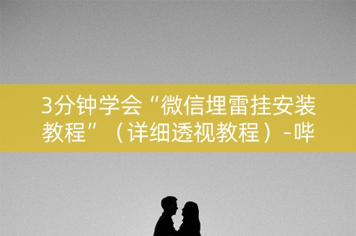 3分钟学会“微信埋雷挂安装教程”（详细透视教程）-哔哩哔哩