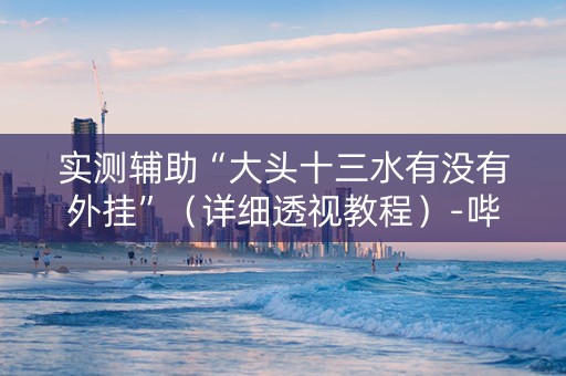 实测辅助“大头十三水有没有外挂”（详细透视教程）-哔哩哔哩
