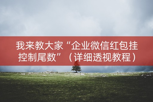 我来教大家“企业微信红包挂控制尾数”（详细透视教程）-哔哩哔哩