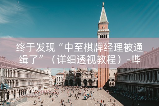 终于发现“中至棋牌经理被通缉了”（详细透视教程）-哔哩哔哩