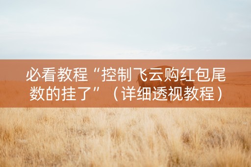 必看教程“控制飞云购红包尾数的挂了”（详细透视教程）-哔哩哔哩