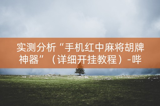 实测分析“手机红中麻将胡牌神器”（详细开挂教程）-哔哩哔哩