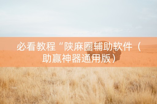 必看教程“陕麻圈辅助软件（助赢神器通用版）