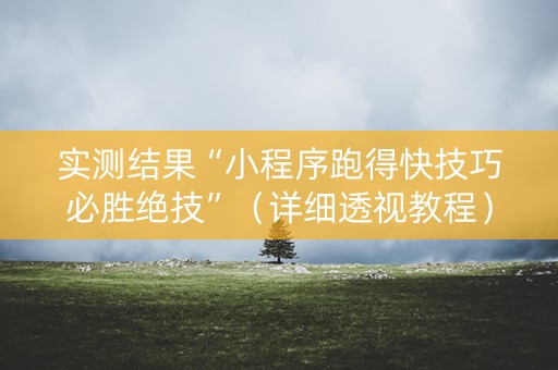 实测结果“小程序跑得快技巧必胜绝技”（详细透视教程）-哔哩哔哩