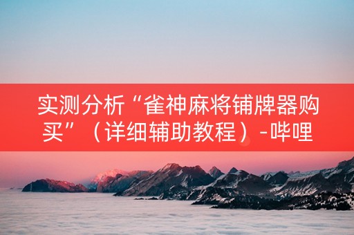 实测分析“雀神麻将铺牌器购买”（详细辅助教程）-哔哩哔哩