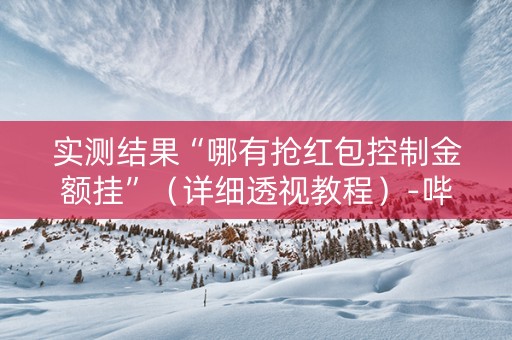 实测结果“哪有抢红包控制金额挂”（详细透视教程）-哔哩哔哩