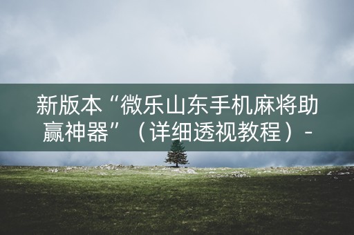 新版本“微乐山东手机麻将助赢神器”（详细透视教程）-哔哩哔哩