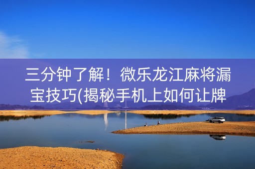 三分钟了解！微乐龙江麻将漏宝技巧(揭秘手机上如何让牌变好)