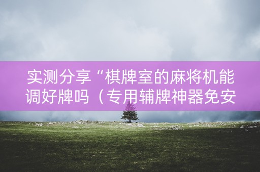 实测分享“棋牌室的麻将机能调好牌吗（专用辅牌神器免安装）
