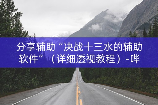 分享辅助“决战十三水的辅助软件”（详细透视教程）-哔哩哔哩