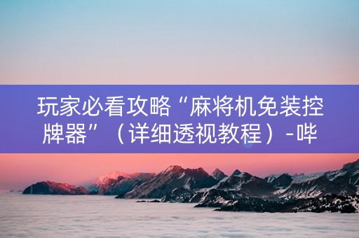 玩家必看攻略“麻将机免装控牌器”（详细透视教程）-哔哩哔哩