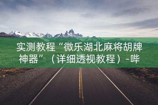 实测教程“微乐湖北麻将胡牌神器”（详细透视教程）-哔哩哔哩