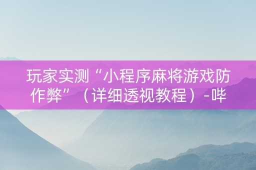 玩家实测“小程序麻将游戏防作弊”（详细透视教程）-哔哩哔哩