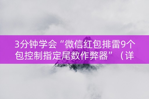 3分钟学会“微信红包排雷9个包控制指定尾数作弊器”（详细透视教程）-哔哩哔哩