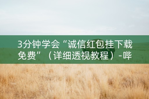 3分钟学会“诚信红包挂下载免费”（详细透视教程）-哔哩哔哩