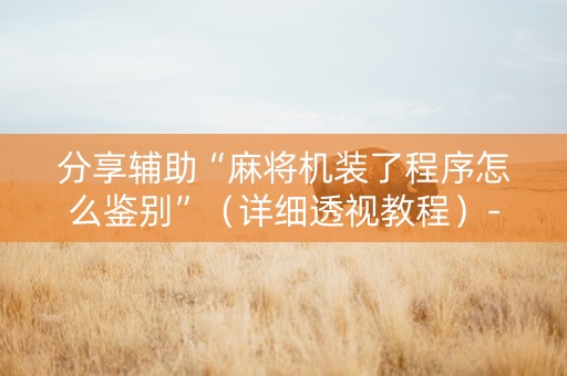 分享辅助“麻将机装了程序怎么鉴别”（详细透视教程）-哔哩哔哩