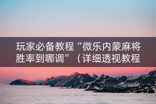 玩家必备教程“微乐内蒙麻将胜率到哪调”（详细透视教程）-哔哩哔哩