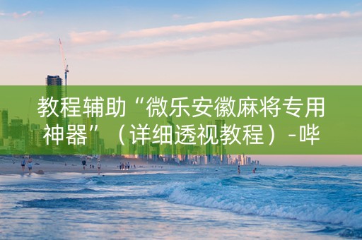 教程辅助“微乐安徽麻将专用神器”（详细透视教程）-哔哩哔哩