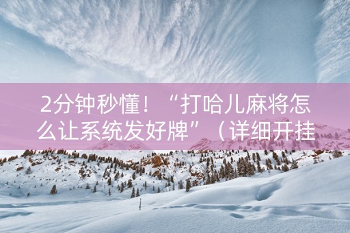 2分钟秒懂！“打哈儿麻将怎么让系统发好牌”（详细开挂教程）-哔哩哔哩