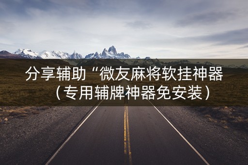 分享辅助“微友麻将软挂神器（专用辅牌神器免安装）