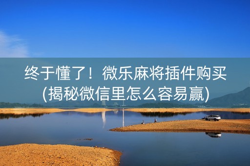 终于懂了！微乐麻将插件购买(揭秘微信里怎么容易赢)