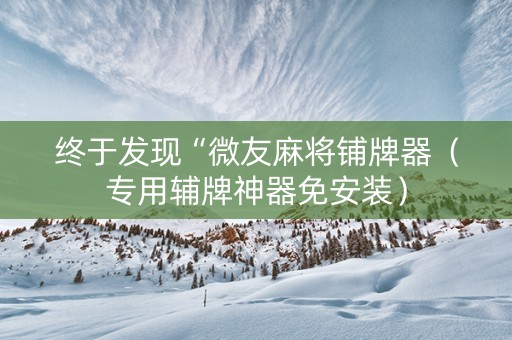 终于发现“微友麻将铺牌器（专用辅牌神器免安装）