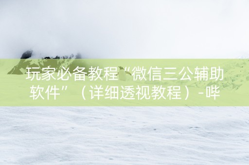 玩家必备教程“微信三公辅助软件”（详细透视教程）-哔哩哔哩