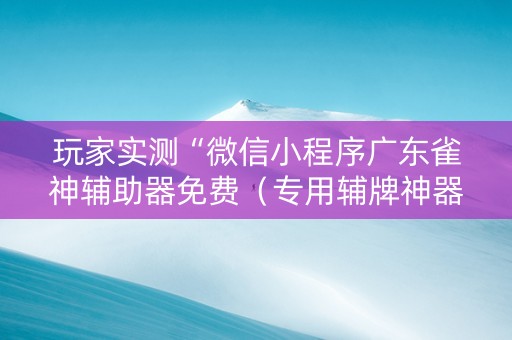玩家实测“微信小程序广东雀神辅助器免费（专用辅牌神器免安装）
