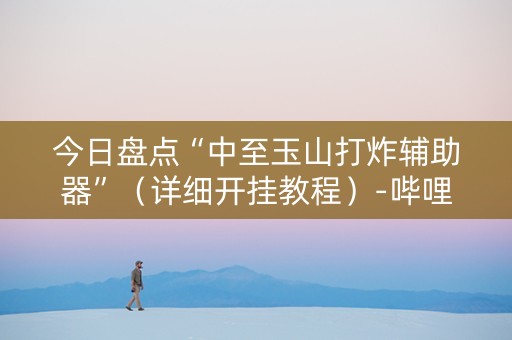 今日盘点“中至玉山打炸辅助器”（详细开挂教程）-哔哩哔哩