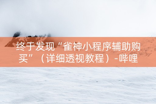 终于发现“雀神小程序辅助购买”（详细透视教程）-哔哩哔哩