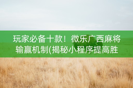 玩家必备十款！微乐广西麻将输赢机制(揭秘小程序提高胜率)